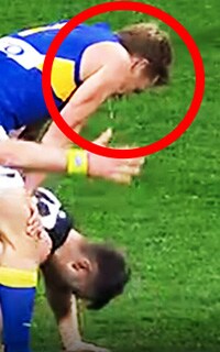 Mitchell-Spit-Th-AFL.jpg West Coast's Sam Mitchell spitting near Sam Gray - AFL,Steven Motlop,Sam Mitchell,Tribunal